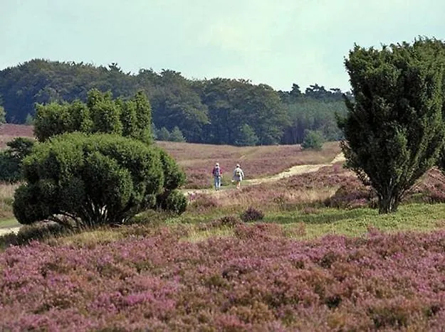 Natuurhuisje Oisterwijk Valkenbosch