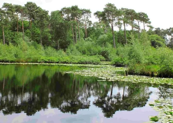 Natuurhuisje Oisterwijk Valkenbosch