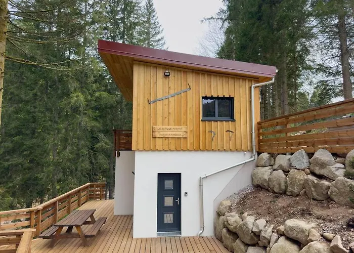 Le Refuge perché du saut de la bourrique, SPA, terrain clôturé, bordure de forêt Gérardmer