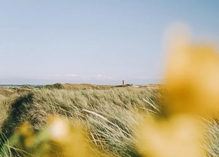 Chalet Luttikduin Nr 17 - Callantsoog aan Zee