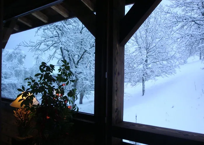 Chambres d'Hôtes Chalet de la Source Morillon