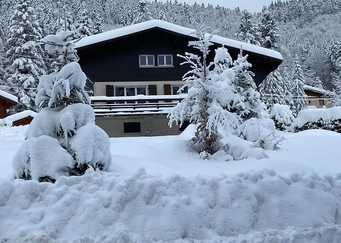 Chalet Des Hauts Sapins La Bresse