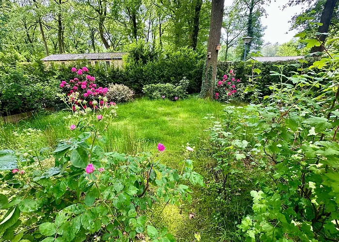 Vakantie veluwe Wageningen