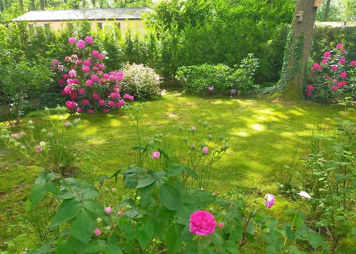 Vakantie veluwe Wageningen