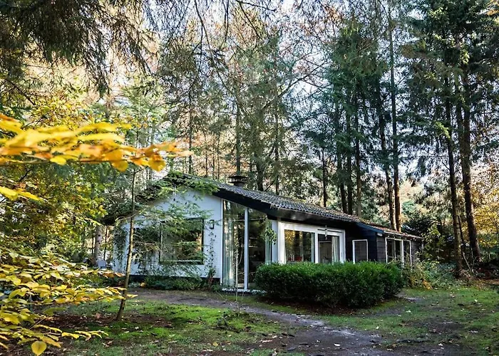 Paulus aan de bos met hot tub Villa Epe