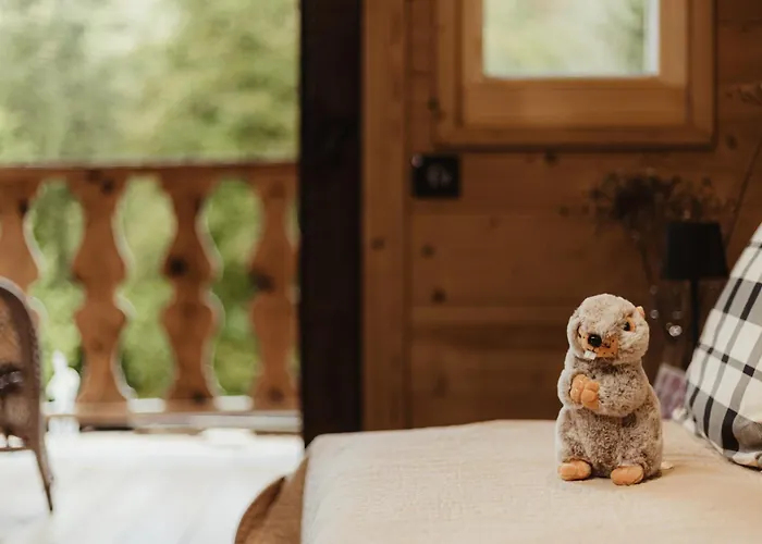 Villa Mazot du Criou - Samoëns