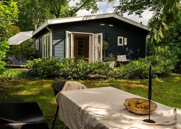 Chalet Boisee Voorthuizen