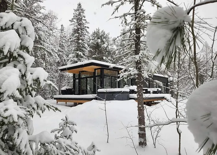Les Chalets Double K # 1 Saint-Alexis-des-Monts