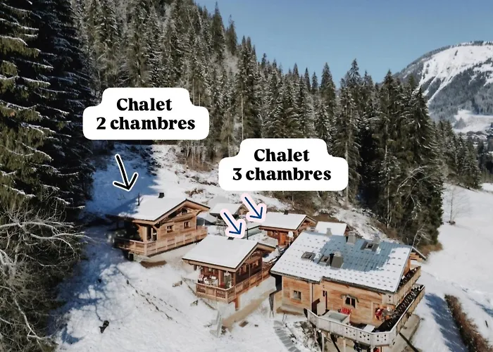 Savoya Lodges Châtel