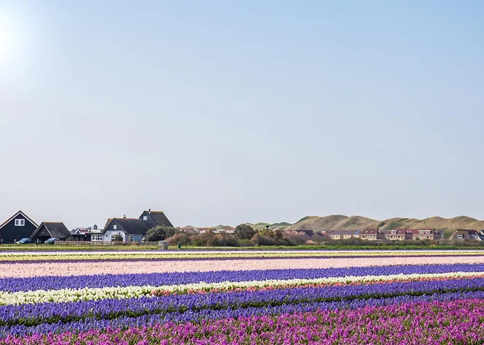 Chalet Neeltje - Chaletpark Luttikduin Callantsoog aan Zee