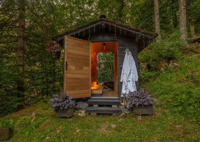 Le Petit Rêve - Lac de Montriond