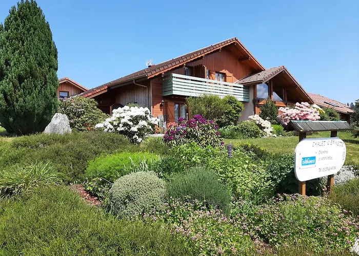B&B Chalet l'Epinette Gérardmer