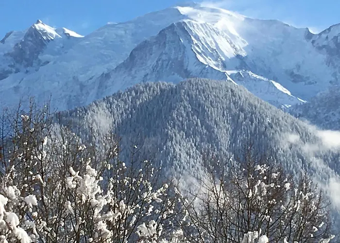 Fizhome Mt Blanc Passy 