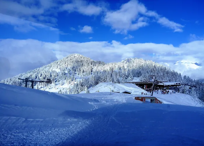 ChaletChalet Du Bois