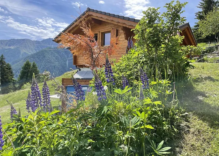 Chalet Belle Roche Recently Renovated Jacuzzi La Tzoumaz