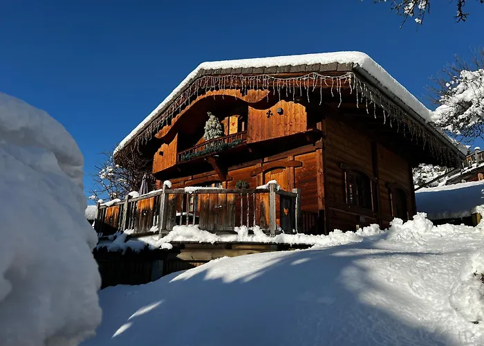Villa Les Greniers du Mont Blanc à Passy 