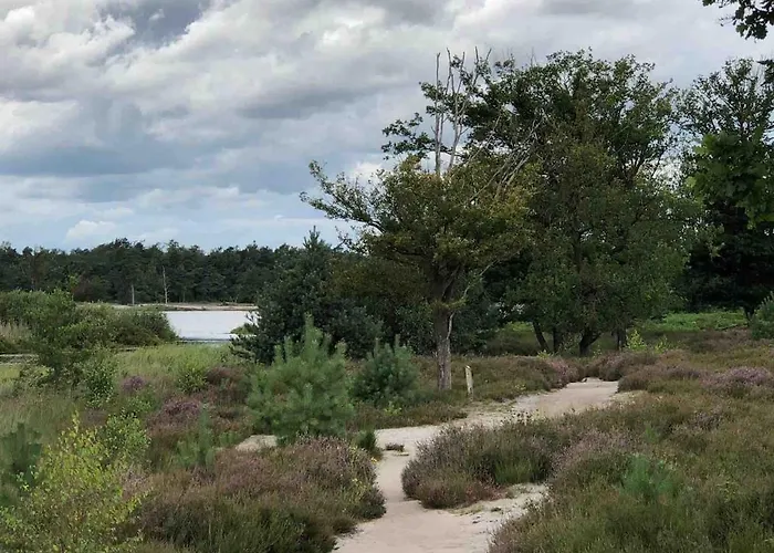 Comfortabel boshuisje in de Oisterwijkse bossen