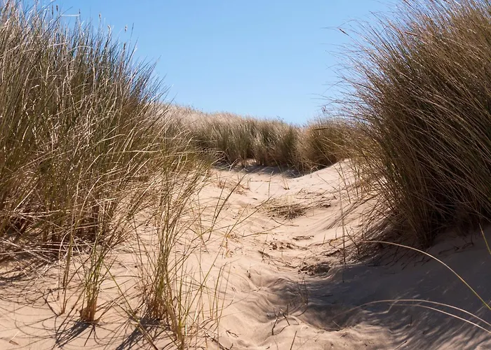 Welcome in - Vakantiepark Fort den Haak - huisdier toegestaan - Dichtbij strand en Veerse Meer Vrouwenpolder