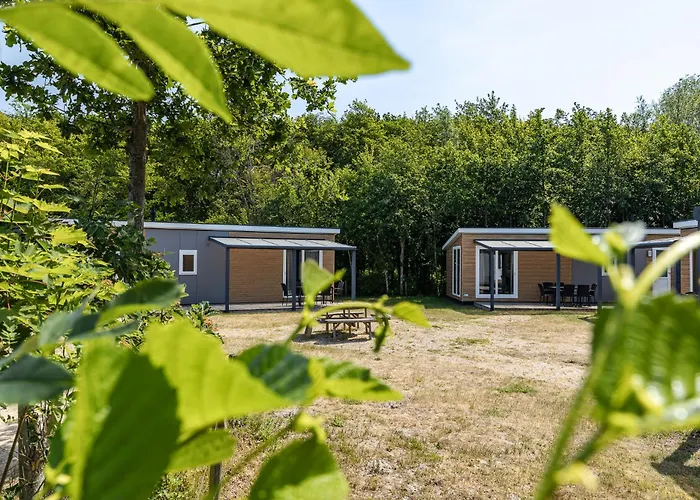Welcome in - Chalet 'Zeeland' - Camping Duinhoeve | Comfortabel familiechalet | Huisdiervriendelijk Burgh-Haamstede