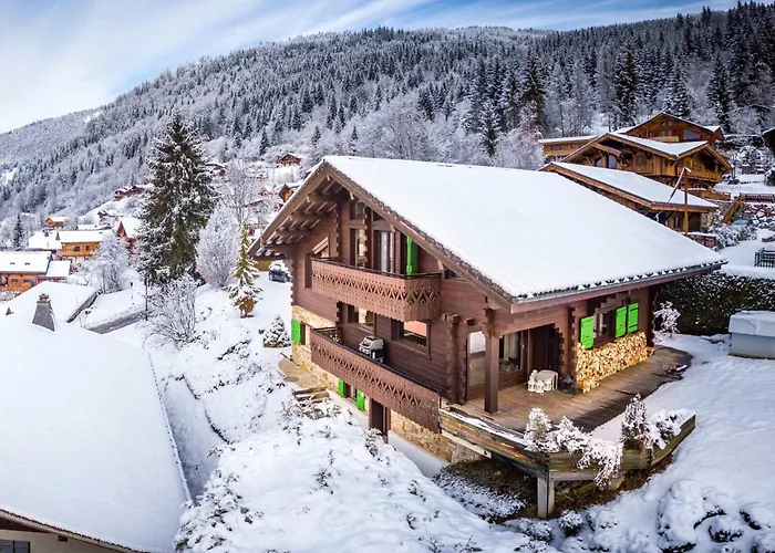 Résidence Hibou Blanc - Chalet Hibou Blanc - 10 Personnes - Montriond MAE-3881