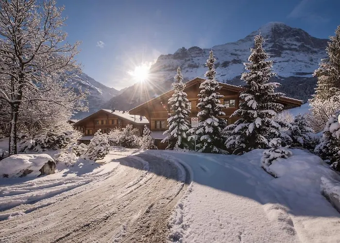 Chalet Dolphin New! Grindelwald